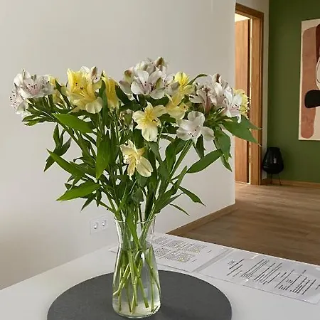 Japandi Apartamentai Apartment Kaunas