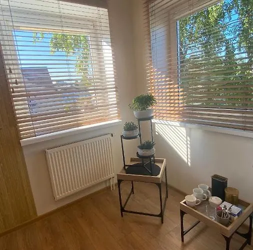 Butas Japandi Apartamentai *