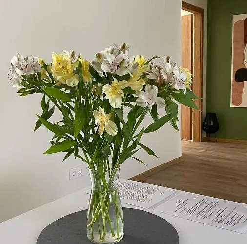 Japandi Apartamentai Butas Kaunas