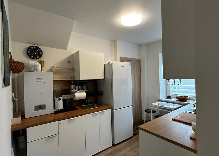 Butas Japandi Apartamentai Kaunas